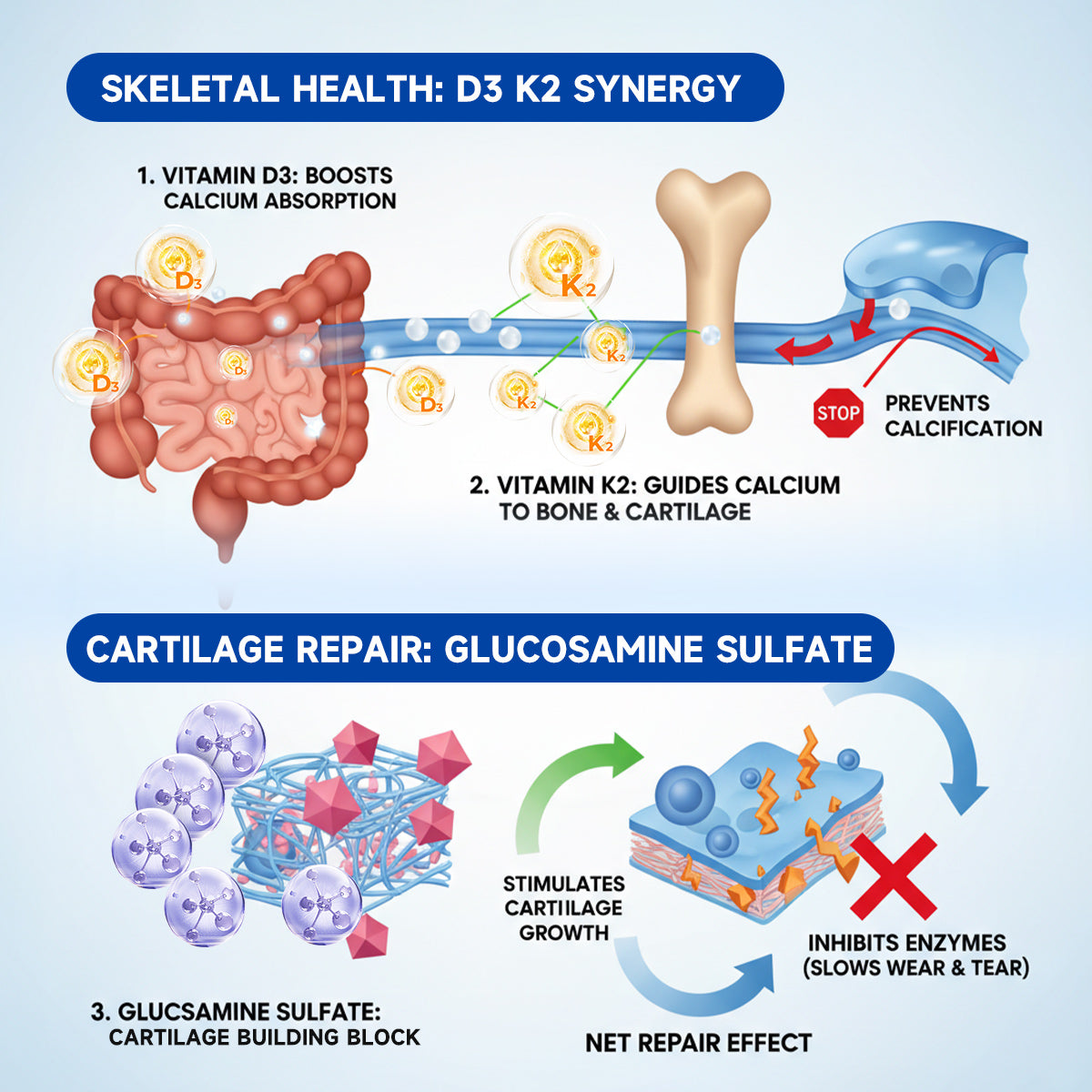 Croaie® BPC-157 Stabilized-Peptide Joint Recovery Oral Liquid - ✅Clinically Co-Developed with the Australian Peptide Association (APA)